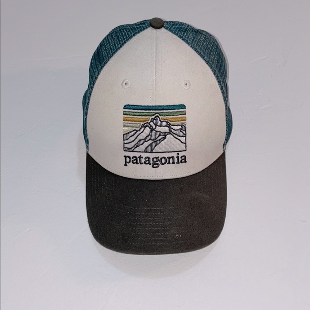 Patagonia baseball cap